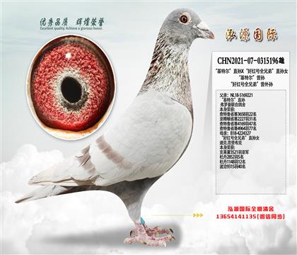 �����ض���ֱ��X���ú��ȫ�ֵܡ�ֱ��Ů