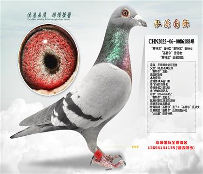 �����ض���ֱ��X�����ض���ֱ��Ů