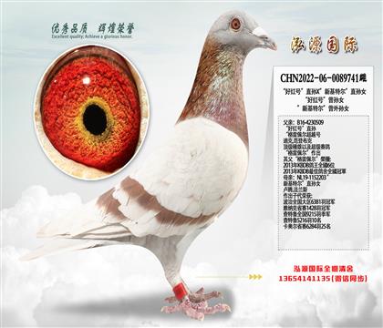 ���ú�š�ֱ��X���»��ض���ֱ��Ů