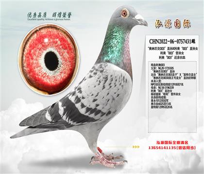 ��Ѫ����003 ������ƥ��003��ֱ��X���¡�003��ֱ��Ů