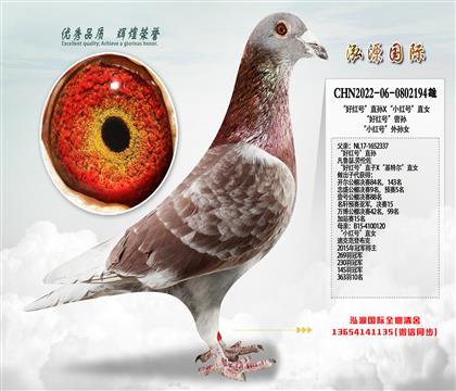 ���ú�š�ֱ��X��С��š�ֱŮ