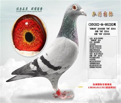 ������098��ֱ��X���ҡ�098��ֱ��Ů