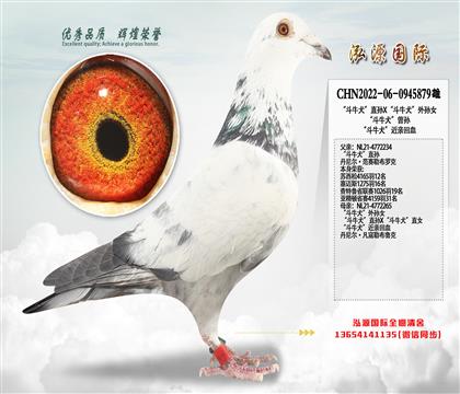 ����ţȮ��ֱ��X����ţȮ������Ů