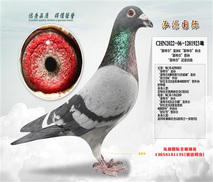 �����ض���ֱ��X�����ض�����Ů