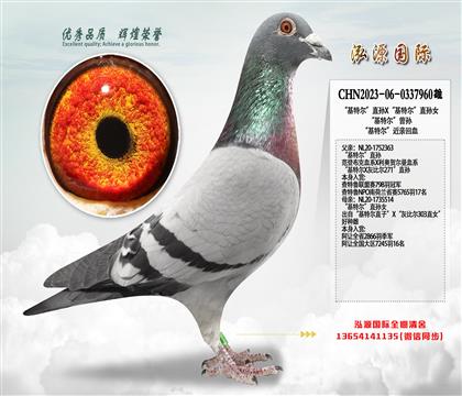 �����ض���ֱ��X�����ض���ֱ��Ů