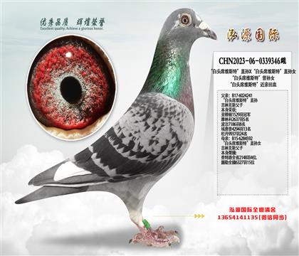 ����ͷϯά˹�ء�ֱ��X����ͷϯά˹�ء�ֱ��Ů