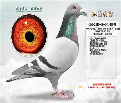 �����־��ܽ�ͷ��ֱ��X�����־��ܽ�ͷ��ֱ��Ů