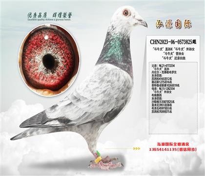 ����ţȮ��ֱ��X����ţȮ������Ů