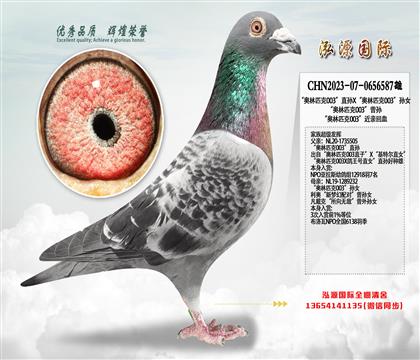 ������ƥ��003��ֱ��X������ƥ��003����Ů