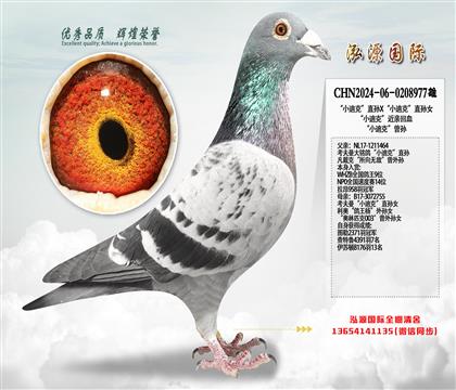 ��С�Ͽˡ�ֱ��X��С�Ͽˡ�ֱ��Ů