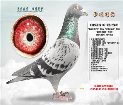 ������ƥ��003��ֱ��X�����λ���ԡ�ֱ��Ů