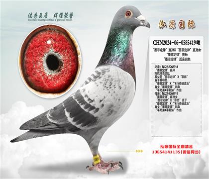 ��ī�ƶ��ɡ�ֱ��X��ī�ƶ��ɡ�ֱ��Ů