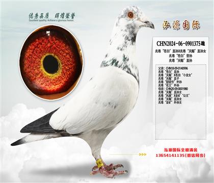 ���𡰲԰ס�ֱ��X������͡�ֱ��Ů