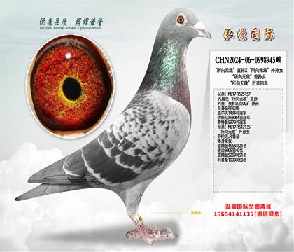 �������޵С�ֱ��X�������޵С�����Ů