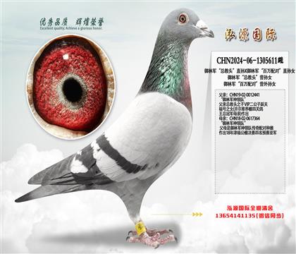 ���־����ܽ�ͷ��ֱ��X���־���������ԡ�ֱ��Ů