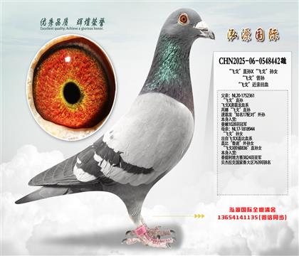 ���ɸꡱֱ��X���ɸꡱ��Ů