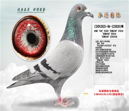 ���ҡ�240������X������240������Ů