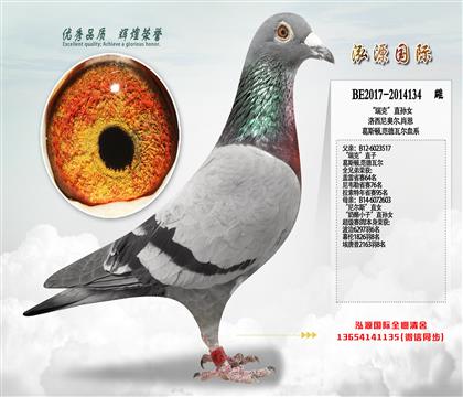 ����ʱ������¶�.Ф��  ����098ֱ��Ů