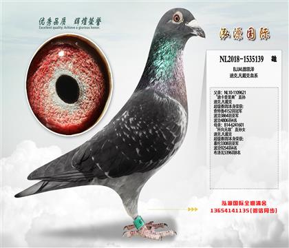 ����B.J.M.�¿��� ���Ͽ�����¡�ֱ��X�������޵С�ֱ��