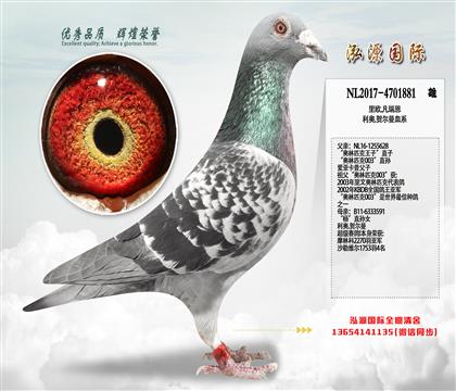 ������ŷ.����� ������ƥ�����ӡ�ֱ��