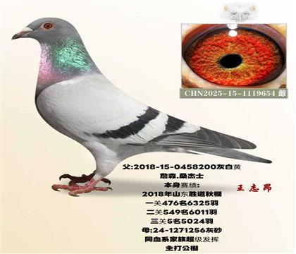 ����5��ֱŮ