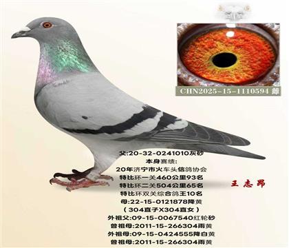 ����10��X��304ֱ��X304ֱŮ��