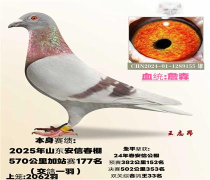 25�괺���Ź����վ177��