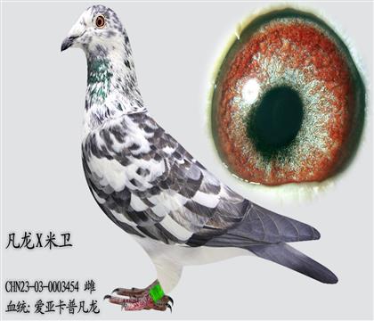 ���ǿ��շ���