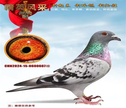 ����������������.����˹