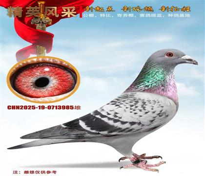 ���ƶ�.���ض�006ǧ�����