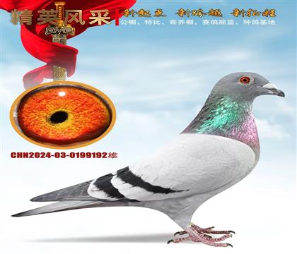 ʵս����.��������