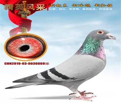 ɣ��ʿ����.069