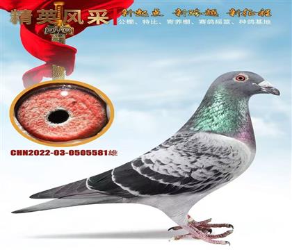 �ٶȿ�ħ.��������˹