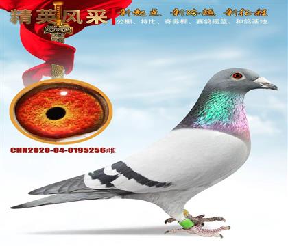 �����ִ�.����86������7000��