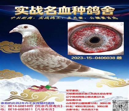 ���������Ƚ��