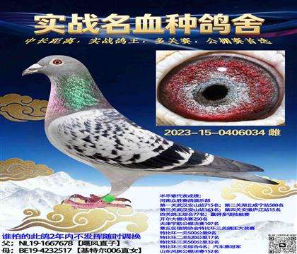 쫷��X���ض�006