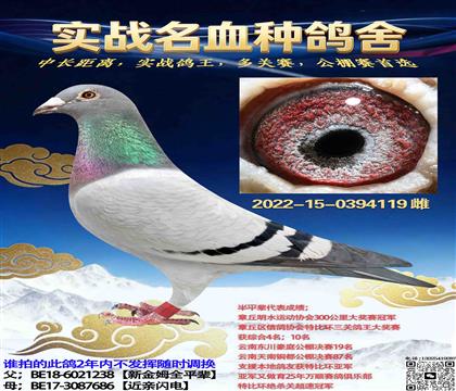 ���𽱸�֮ĸ