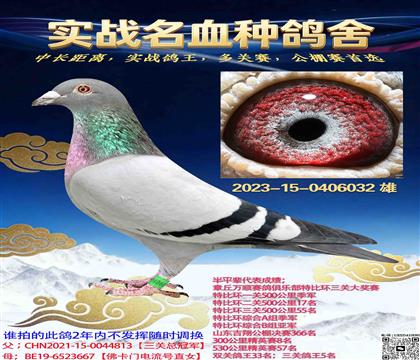 ɽ������