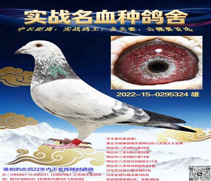 ������֮����������6��ƽ��