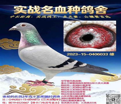 �ƹ�������������