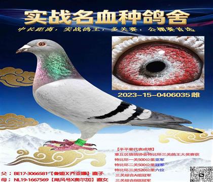 ³����X쫷�����Ů�������ȶ�