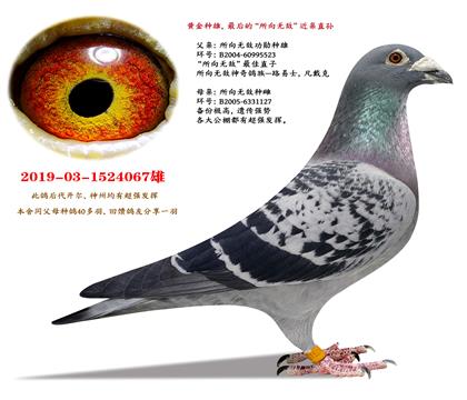 �Ƽ����ƽ����ۡ������޵С�����ֱ��