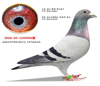 �״ζ����������Ǳȡ�³�ϡ�ֱ��X�Ǳȡ��ʼһҡ�ֱŮ