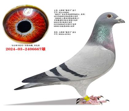 �����롰���ض���ֱ��X���ض�ֱŮ