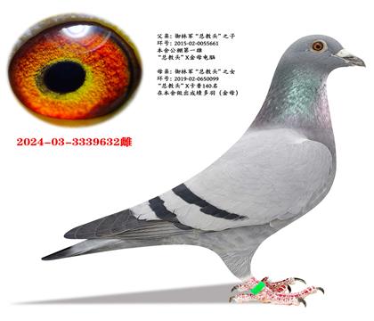 ���־����ܽ�ͷ��ֱ��X�ܽ�ͷֱŮ