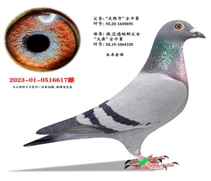 ��ĸ�����޺š�ȫƽ��X�����˹���󱼡�ȫƽ��