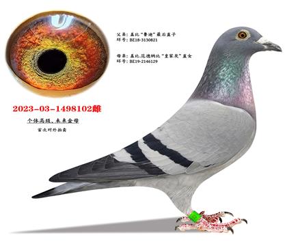 ���ġ��Ǳȡ�³�ϡ�ֱ��X�Ǳȡ��ʼһҡ�ֱŮ