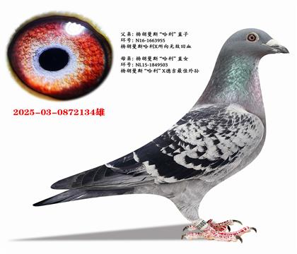 �����˹��������ֱ��X��������ֱŮ