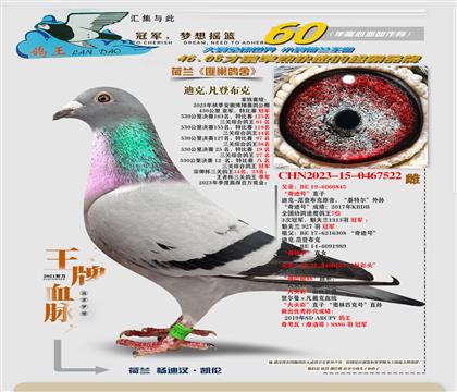 ��ɫ���ض�