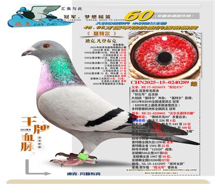 ���ػ��ض�